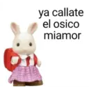 Para contestar 🫰🏻 5
