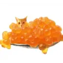 Gato 8