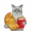 Gato 13