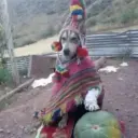 Reacciones Variadas 🗞️ 17