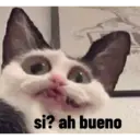 animales ramdom 13