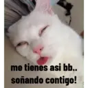 animales ramdom 18