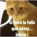animales ramdom 14