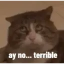 animales ramdom 21