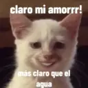 animales ramdom 15