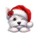 🐕🎄Navidad perritos funny 🎄🐕🤣 10