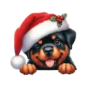🐕🎄Navidad perritos funny 🎄🐕🤣 24