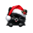 🐕🎄Navidad perritos funny 🎄🐕🤣 6