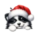 🐕🎄Navidad perritos funny 🎄🐕🤣 28