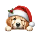 🐕🎄Navidad perritos funny 🎄🐕🤣 5