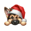 🐕🎄Navidad perritos funny 🎄🐕🤣 29