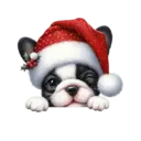 🐕🎄Navidad perritos funny 🎄🐕🤣 20