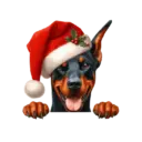 🐕🎄Navidad perritos funny 🎄🐕🤣 21