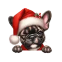 🐕🎄Navidad perritos funny 🎄🐕🤣 15