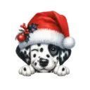 🐕🎄Navidad perritos funny 🎄🐕🤣 16