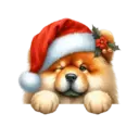 🐕🎄Navidad perritos funny 🎄🐕🤣 8