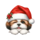 🐕🎄Navidad perritos funny 🎄🐕🤣 30