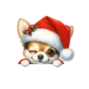 🐕🎄Navidad perritos funny 🎄🐕🤣 12