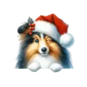 🐕🎄Navidad perritos funny 🎄🐕🤣 23