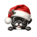 🐕🎄Navidad perritos funny 🎄🐕🤣 25