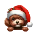 🐕🎄Navidad perritos funny 🎄🐕🤣 13