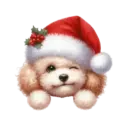 🐕🎄Navidad perritos funny 🎄🐕🤣 22