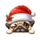 🐕🎄Navidad perritos funny 🎄🐕🤣 17