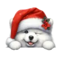 🐕🎄Navidad perritos funny 🎄🐕🤣 18