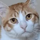 GATOS 25