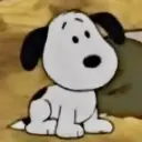 Snoopy 8
