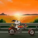 Snoopy 10