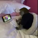 Monitos bonitos 🐵 2
