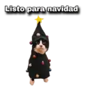 Listo para navidad