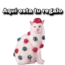 Aquí esta tu regalo