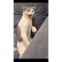 RANDOM GIF #3 1