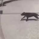 Random pa la banda MOV.1 2