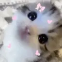 Gatuu 1