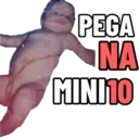 PEGA NA MINI10