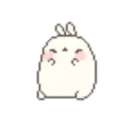 Molang ᩍ🥕 4