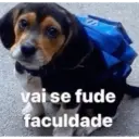 Xitpost 2026 4