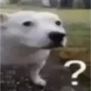 Xitpost 2026 11