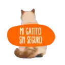 Dia del gato. 3