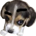 Xdd  1