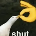 Memes 6