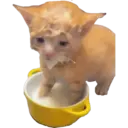 Mininos 2