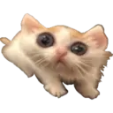 Mininos 3