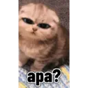 Gatau 2