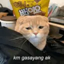 Bucin 30