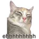 Francis kitty  1