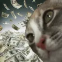 Francis kitty  2
